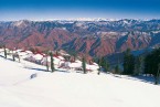 Kufri Shimla Local